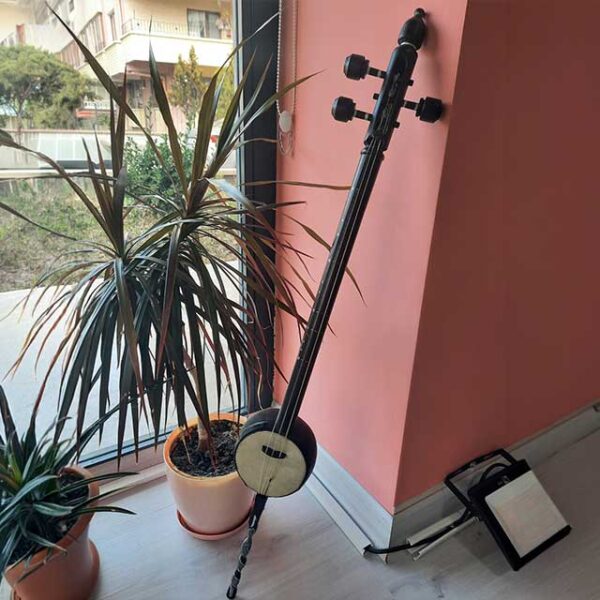 Fatma Pehlivan, rebab yapım atölyesi, 2025 - 2